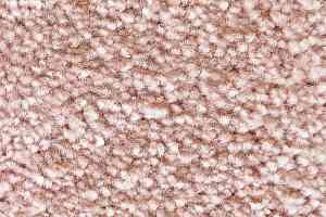 Ковролин AW Masquerade Gaudia 68 фото  | FLOORDEALER